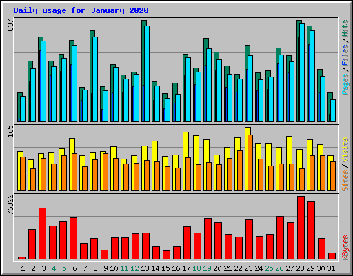 Daily usage for January 2020