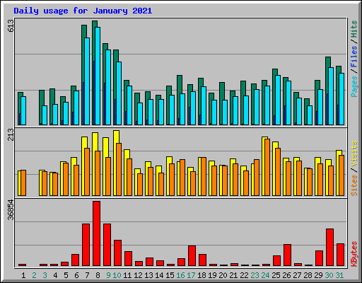 Daily usage for January 2021