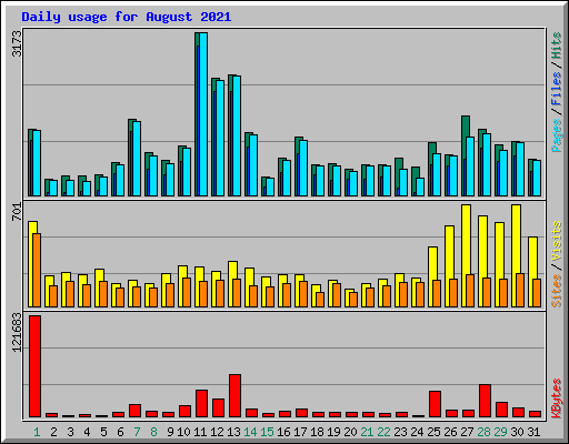 Daily usage for August 2021