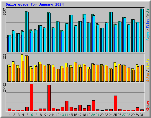 Daily usage for January 2024