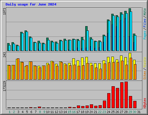Daily usage for June 2024