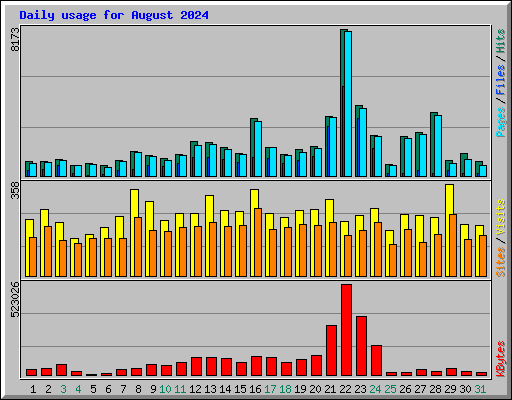 Daily usage for August 2024