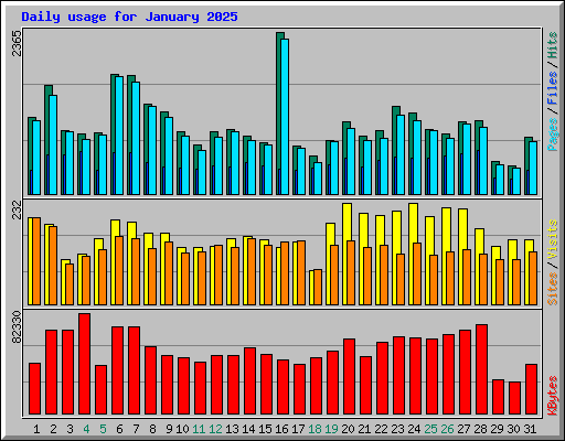 Daily usage for January 2025