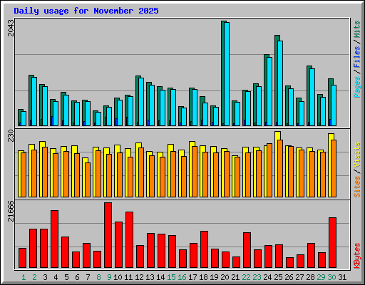 Daily usage for November 2025