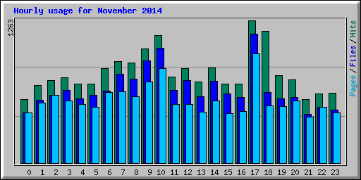 Hourly usage for November 2014