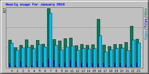 Hourly usage for January 2016