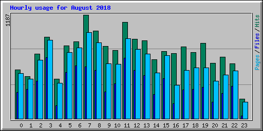 Hourly usage for August 2018