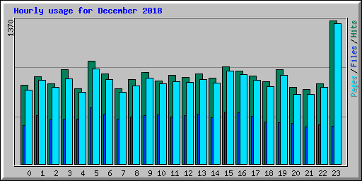 Hourly usage for December 2018