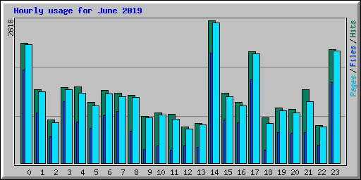 Hourly usage for June 2019