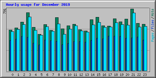 Hourly usage for December 2019