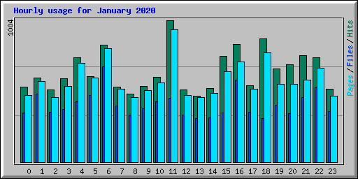 Hourly usage for January 2020