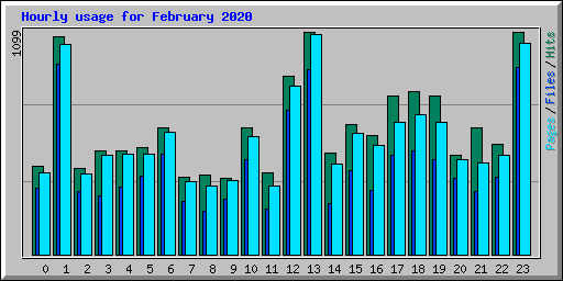 Hourly usage for February 2020
