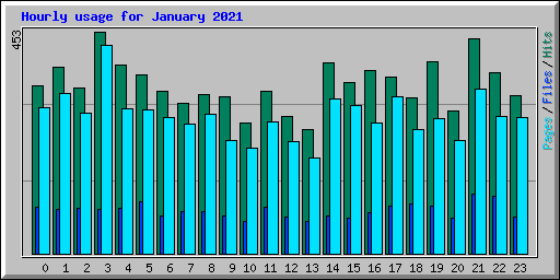 Hourly usage for January 2021