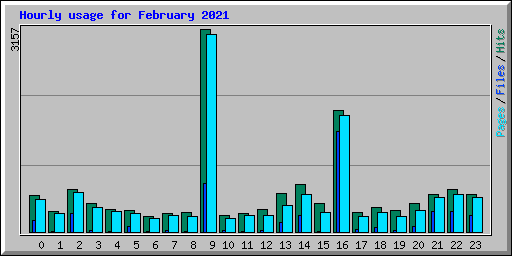 Hourly usage for February 2021