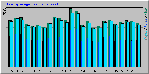 Hourly usage for June 2021