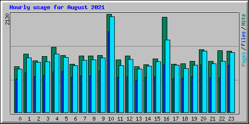 Hourly usage for August 2021