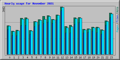 Hourly usage for November 2021