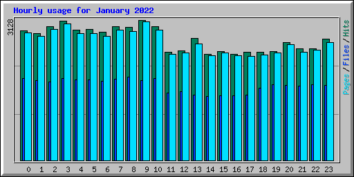 Hourly usage for January 2022