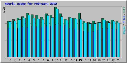 Hourly usage for February 2022