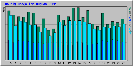 Hourly usage for August 2022