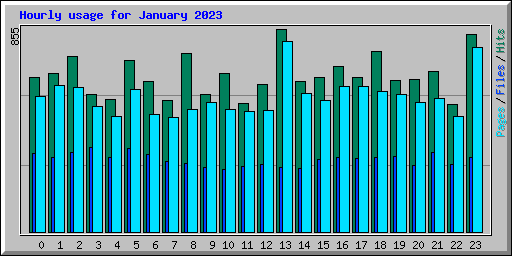 Hourly usage for January 2023