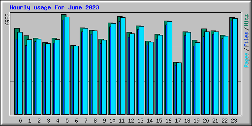 Hourly usage for June 2023