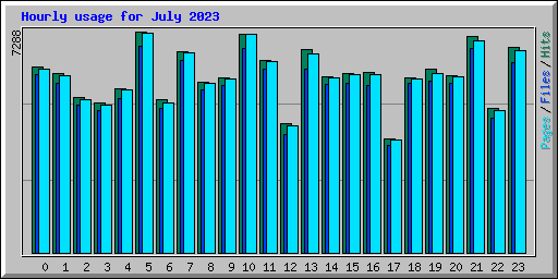 Hourly usage for July 2023