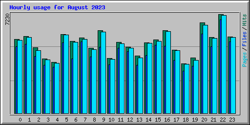 Hourly usage for August 2023
