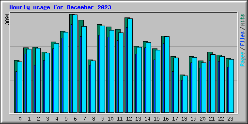 Hourly usage for December 2023