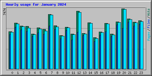 Hourly usage for January 2024