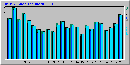 Hourly usage for March 2024
