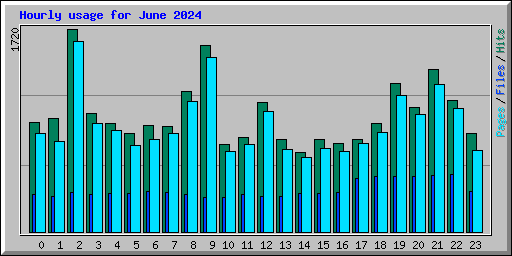 Hourly usage for June 2024