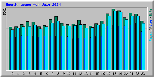 Hourly usage for July 2024