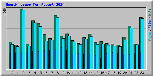 Hourly usage for August 2024