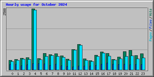 Hourly usage for October 2024