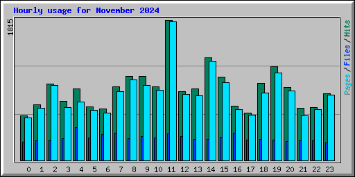 Hourly usage for November 2024