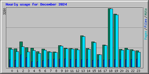 Hourly usage for December 2024