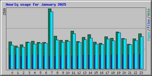 Hourly usage for January 2025
