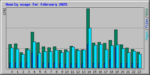 Hourly usage for February 2025