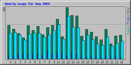 Hourly usage for May 2025