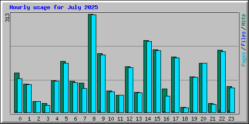 Hourly usage for July 2025