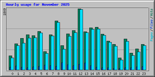 Hourly usage for November 2025