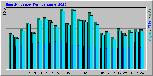 Hourly usage for January 2026