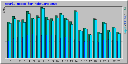 Hourly usage for February 2026