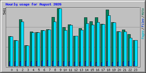 Hourly usage for August 2026